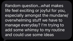 Screenshot of text message bubble, reads, "Random question...what makes life feel exciting or joyful for you, especially amongst the mundane/overwhelming stuff we have to manage everyday? I'm trying to add more whimsy to my routine and could use some ideas"